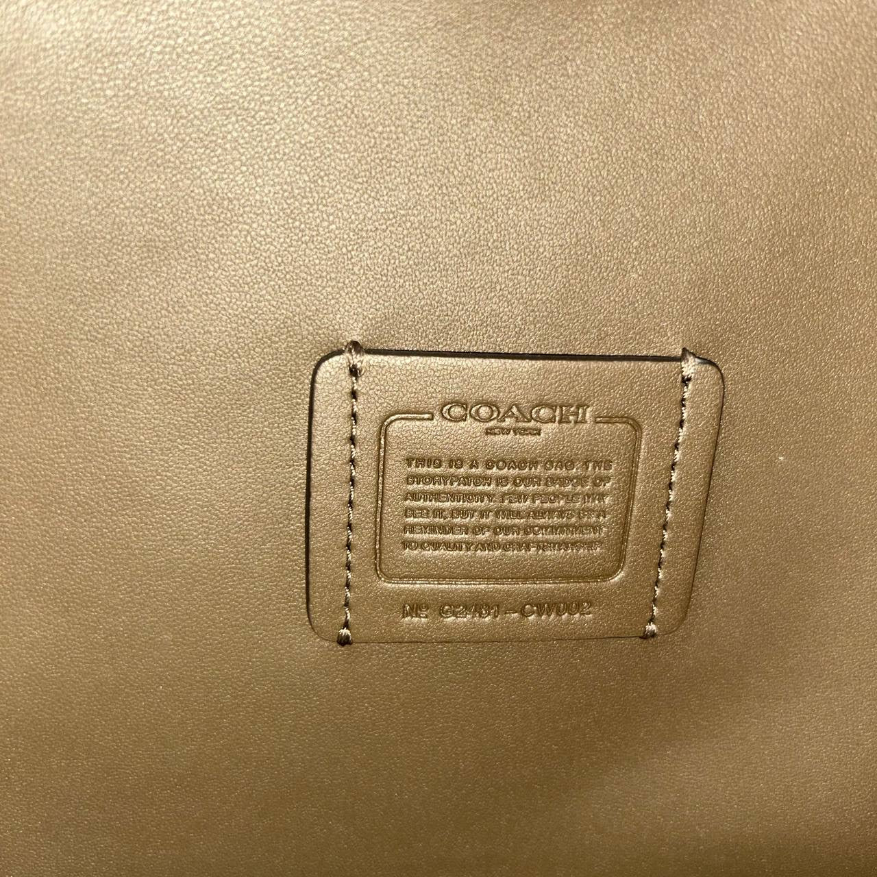 COACH HADLEY CONVERTIBLE SHOULDER BAG | DARK STONE