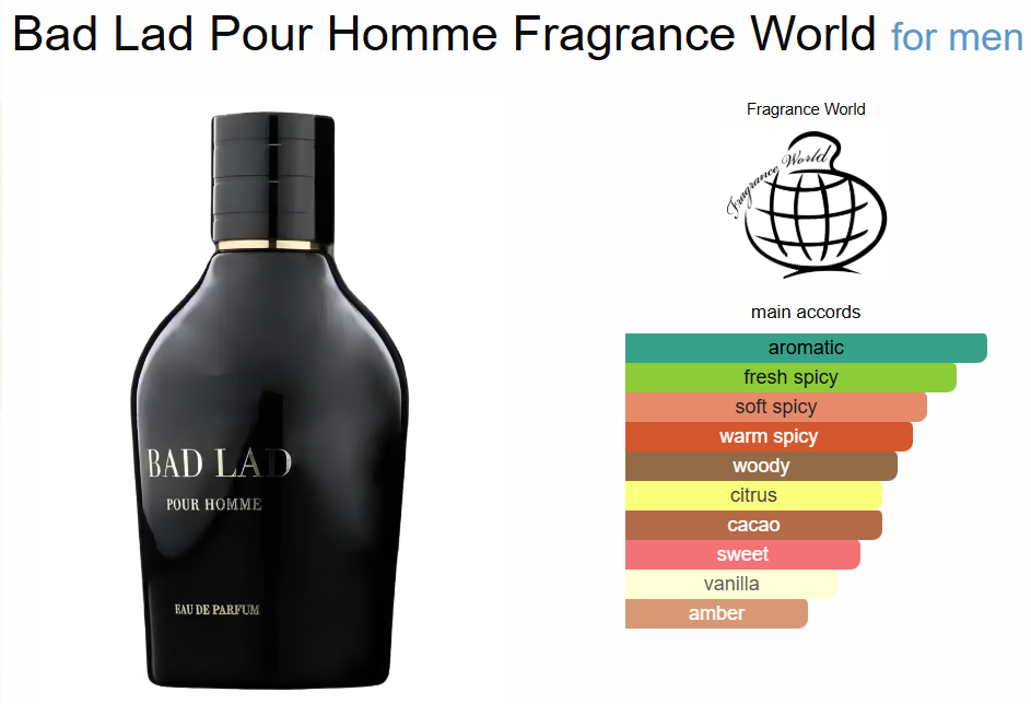 FRAGRANCE WORLD BAD LAD | 50ml - SEALED