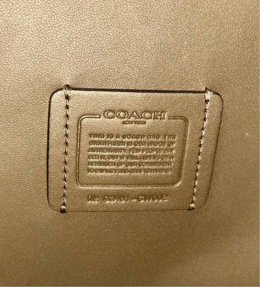 COACH HADLEY CONVERTIBLE SHOULDER BAG | DARK STONE