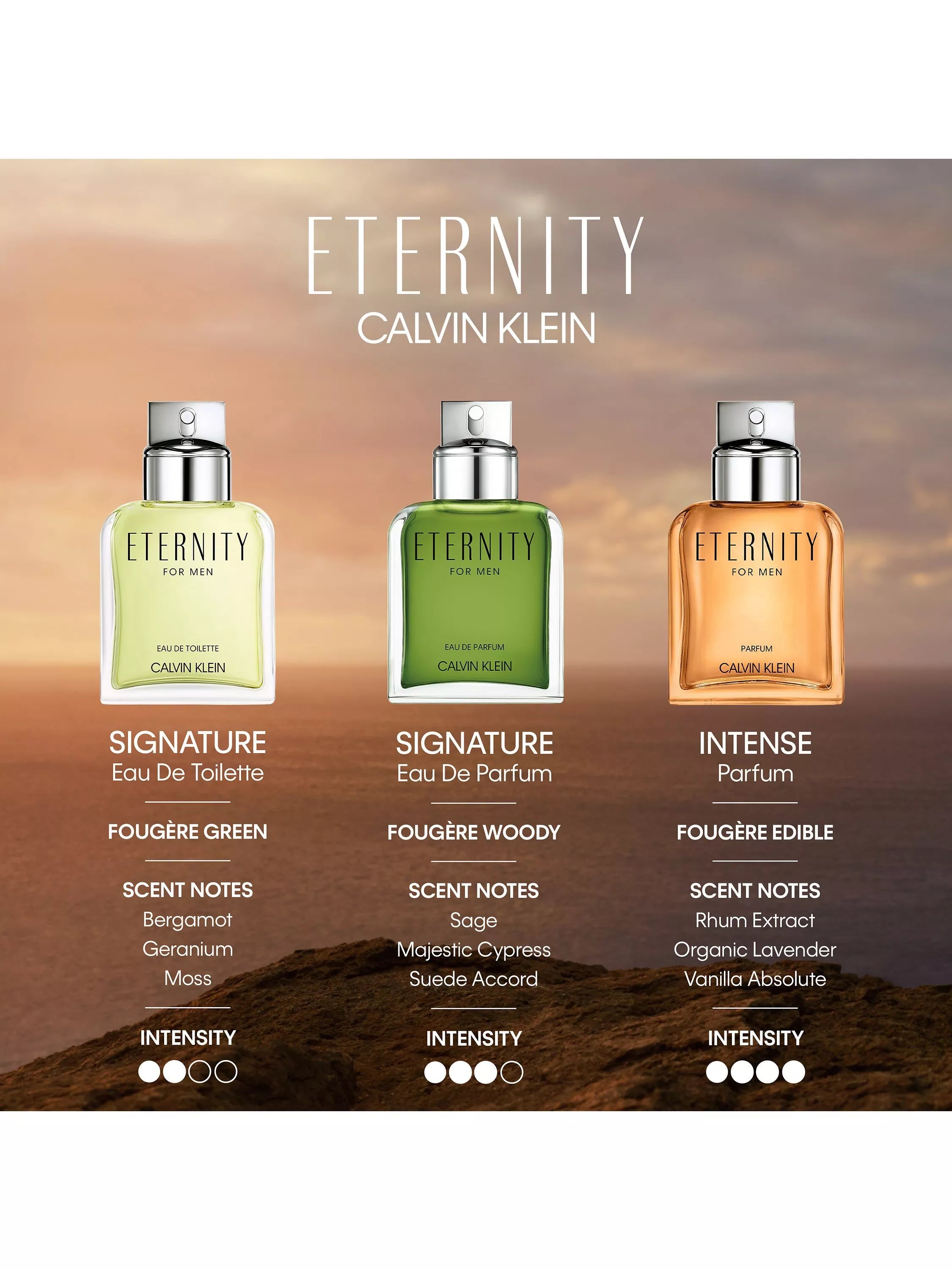 (PREORDER) CALVIN KLEIN ETERNITY EDP (MEN) | 100ML - TESTER