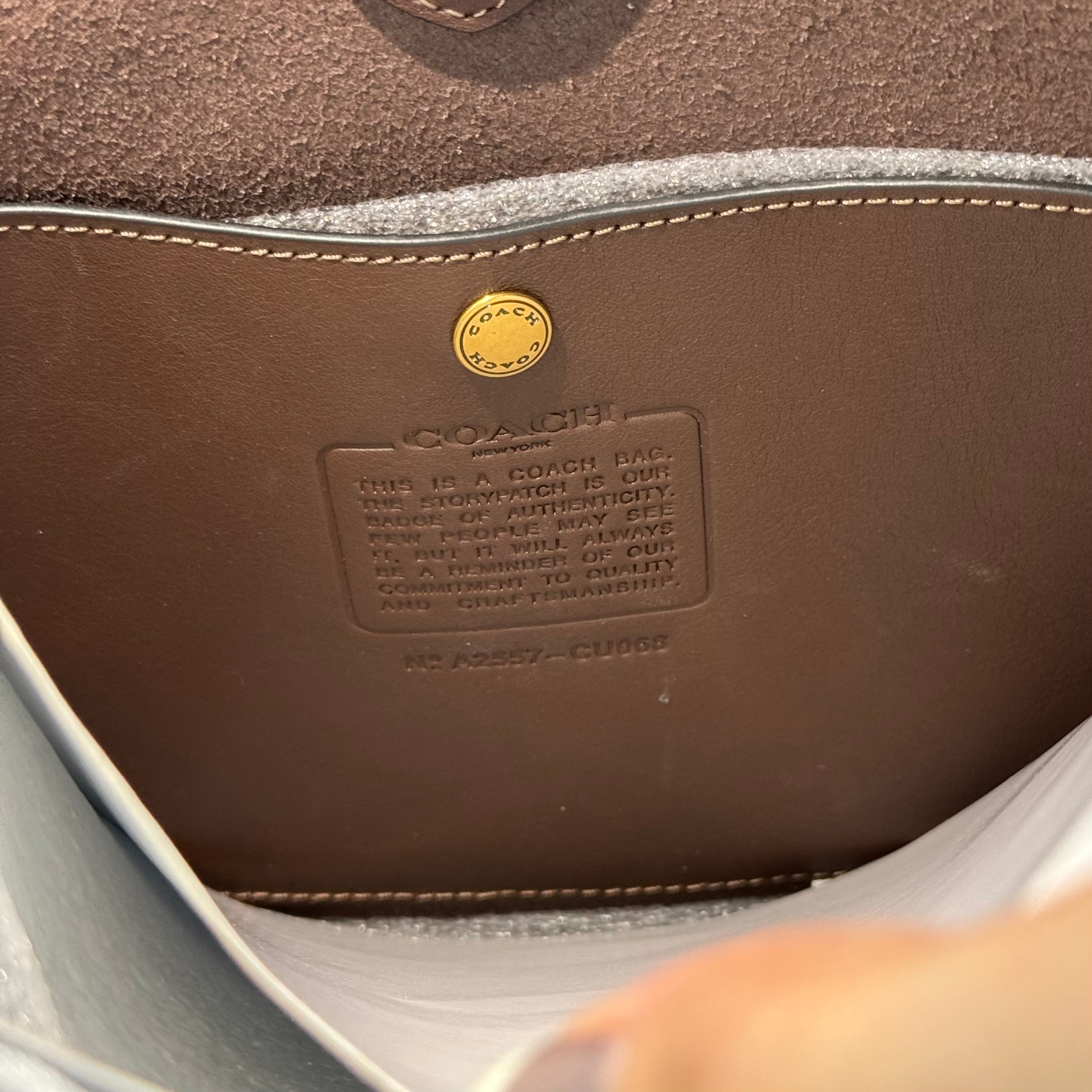 COACH BROOKLYN 28 BAG | MAPLE