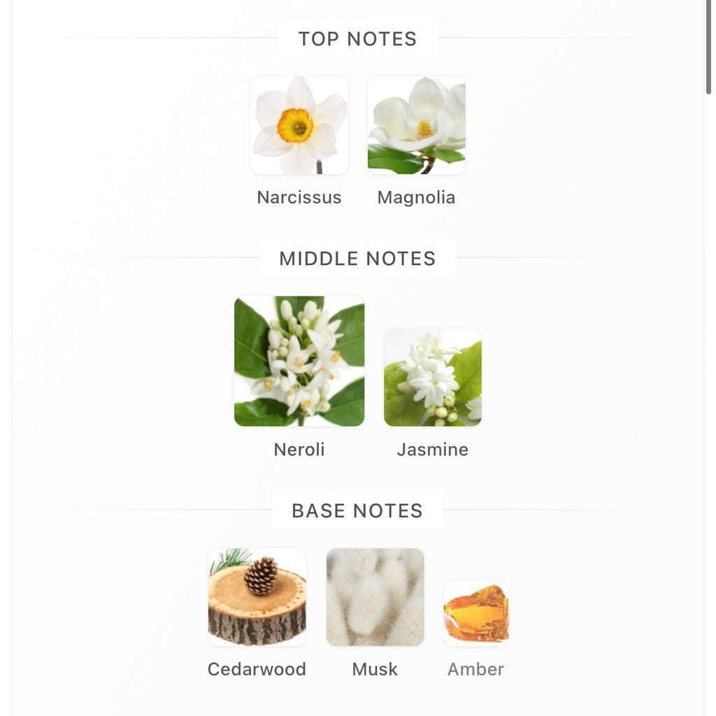 (PREORDER) TO SUMMER MAGNOLIA | 30ML - SEALED (FREE NAME ENGRAVING + PAPERBAG)