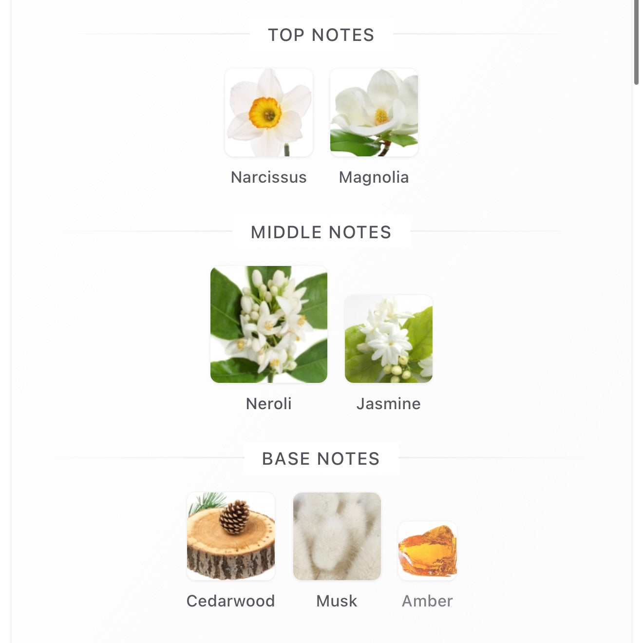 (PREORDER) TO SUMMER MAGNOLIA | 30ML - SEALED (FREE NAME ENGRAVING + PAPERBAG)