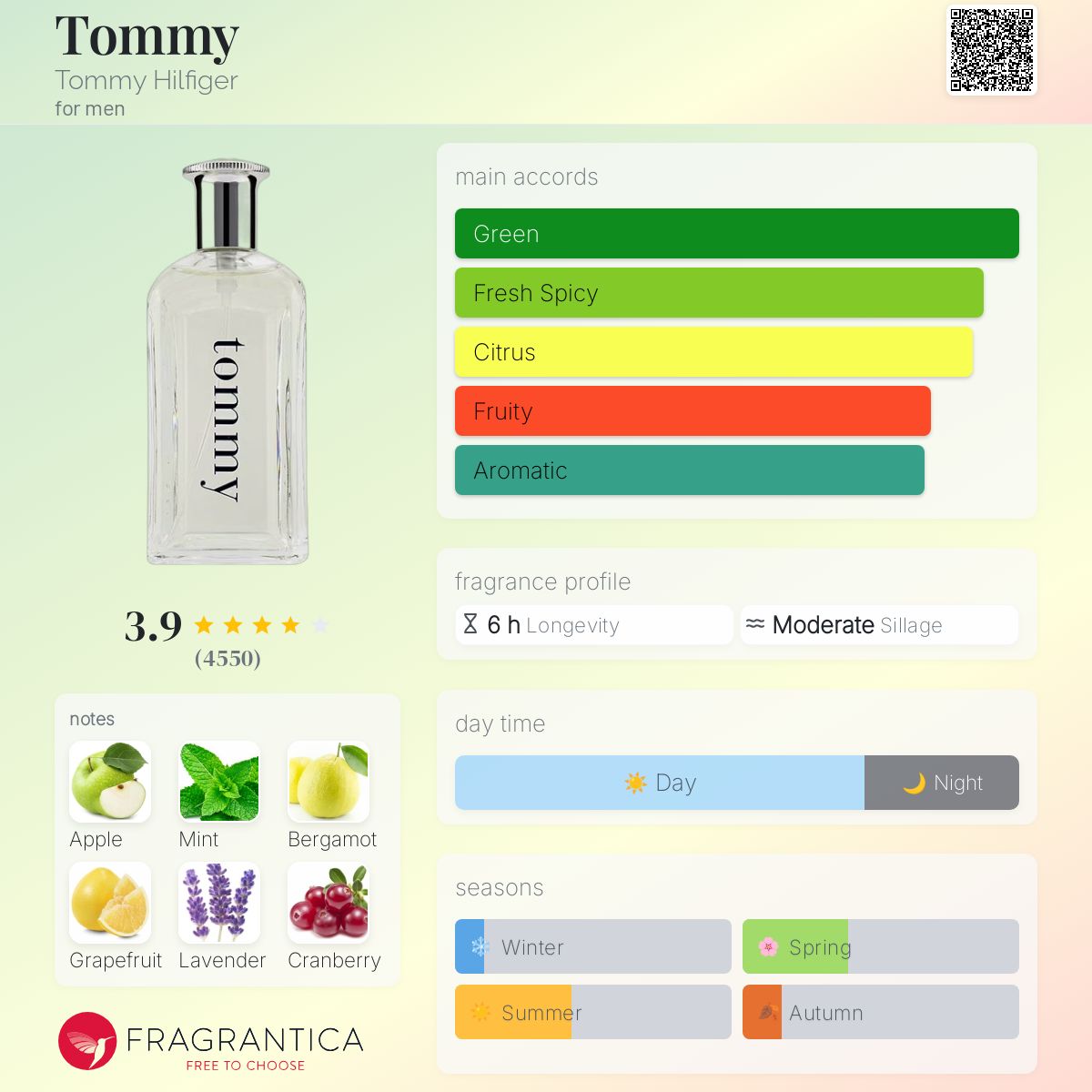 Tommy Boy | 100ml - SEALED