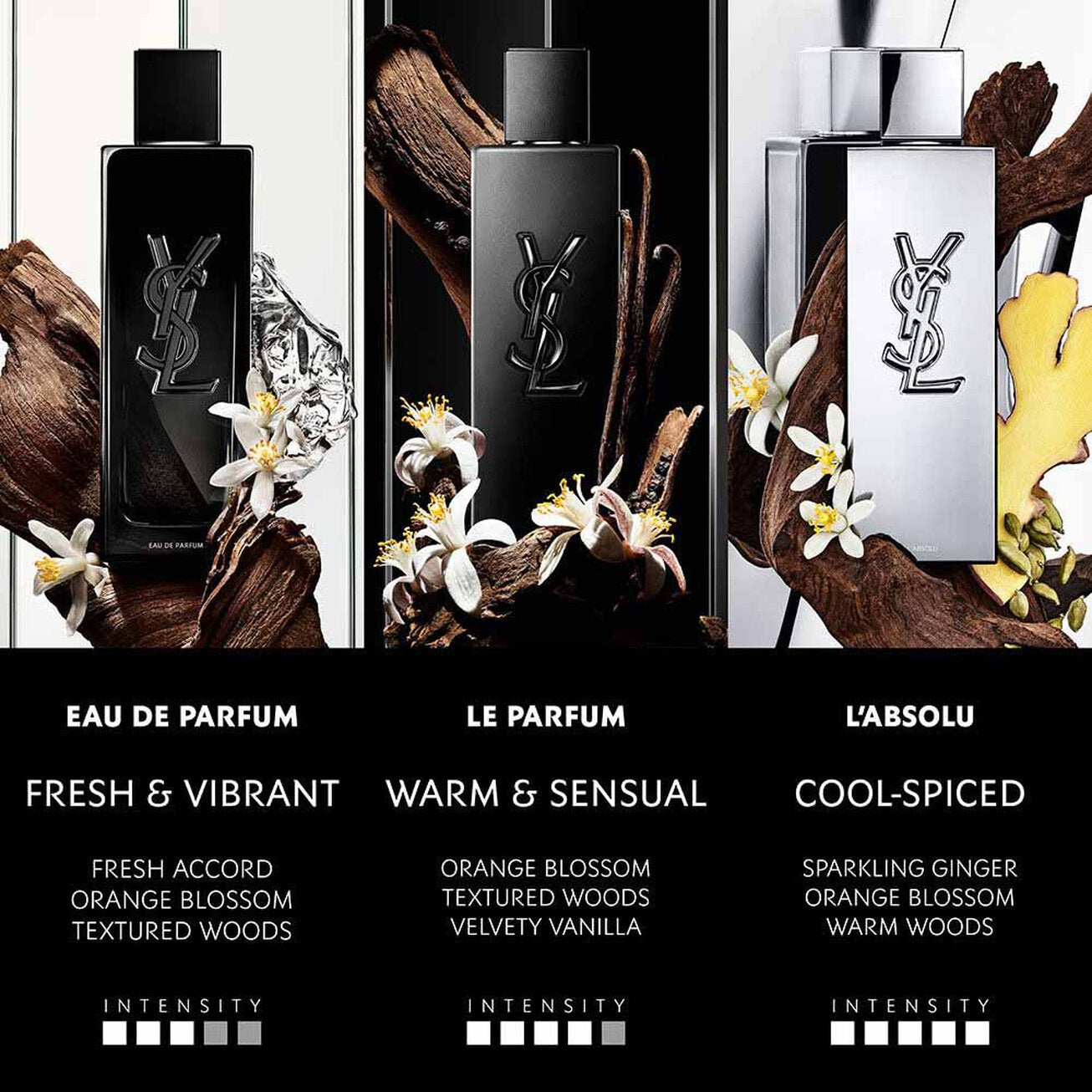 (PREORDER)YSL MYSLF L’ABSOLU (2025) | 100ML - SEALED