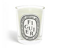 (PREORDER) DIPTYQUE CANDLE - FIGUIER | 190G - TESTER