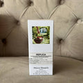 MAISON MARGIELA REPLICA FROM THE GARDEN